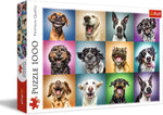 Rompecabezas Fotos de Perritos. 1000 Piezas. Marca Trefl