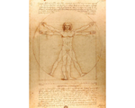 Leonardo da Vinci - El Hombre de Vitruvio: Rompecabezas 1000 Piezas. Marca Enjoy Puzzle