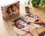 Rompecabezas Gatitos Durmiendo. 500 Piezas. Marca Trefl