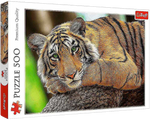 Rompecabezas Retrato de Tigre. 500 Piezas Marca Trefl