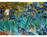 Rompecabezas Van Gogh Lirios 1000 Piezas. Marca Eurographics