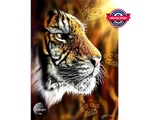 Rompecabezas Tigre Salvaje. 1000 pieza Marca Anatolian