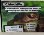 Brainbox animales en Español