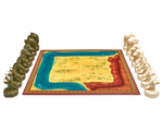 Strategeti Juego de Mesa FlexiQ