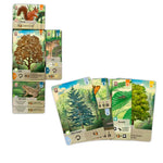 Juego de Mesa Forest Shuffle en Español. Marca Asmodee